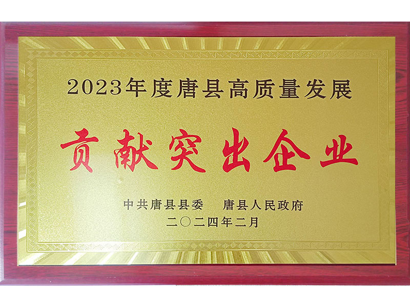 貢獻突出企業(yè)