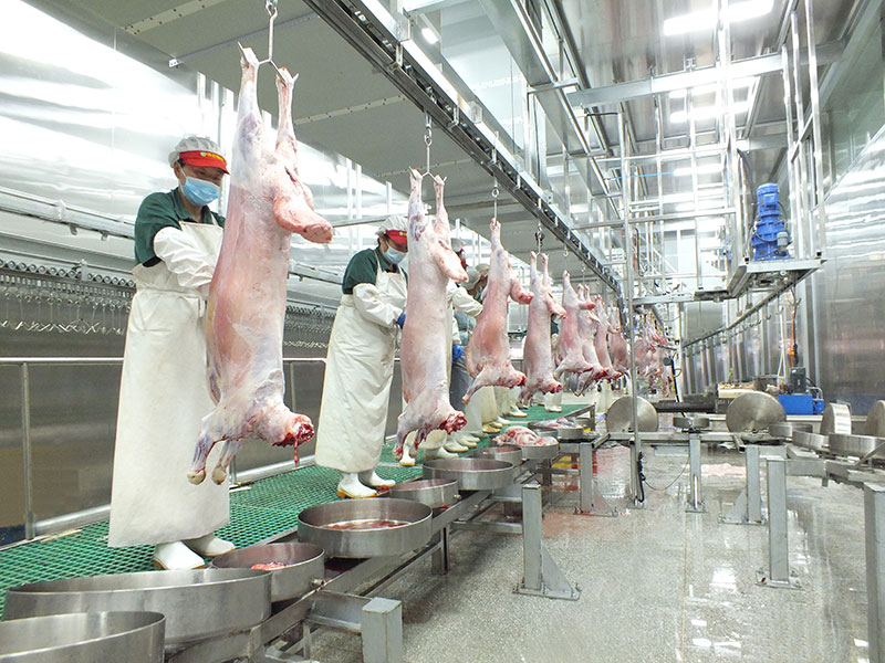 屠宰加工